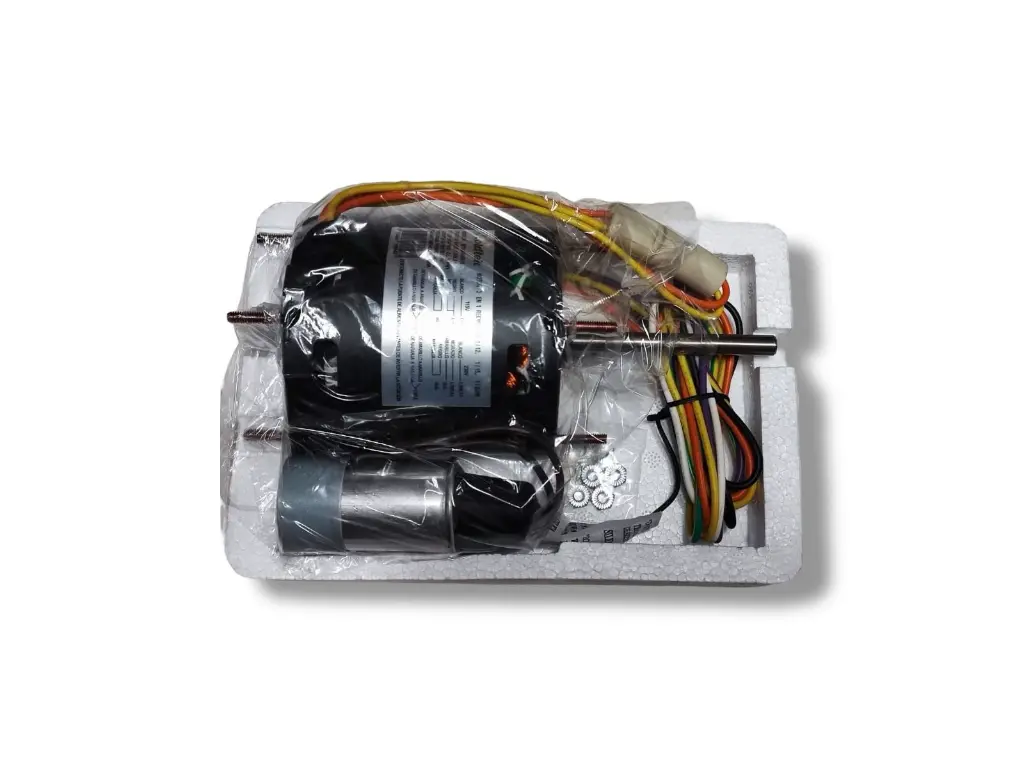 WhatsApp Image 2025-02-19 at 9.18.03 PM (3).webp